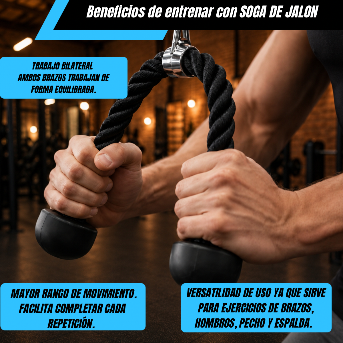 SOGA DE JALÓN 